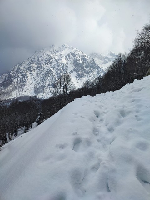 Photo 2026 03 22 16 06 39