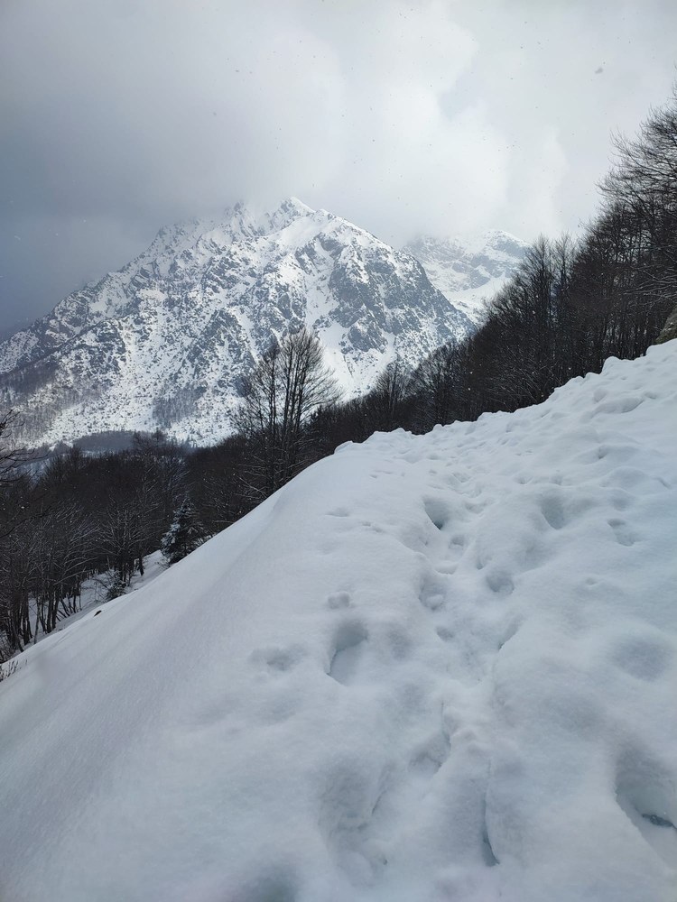 Photo 2026 03 22 16 06 39
