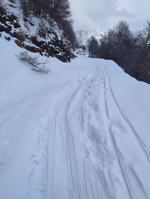 Photo 2026 03 22 16 08 01