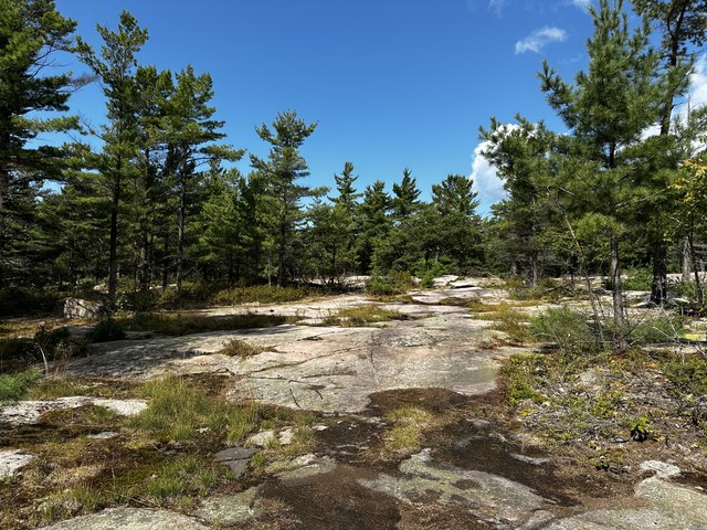 Img 0532