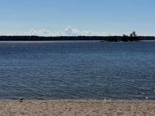 Img 0544