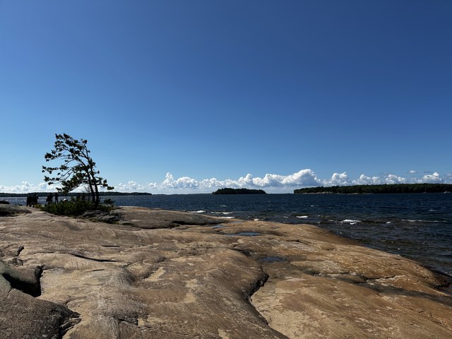 Img 0547