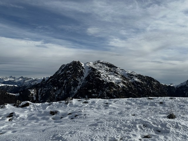 Img 2039