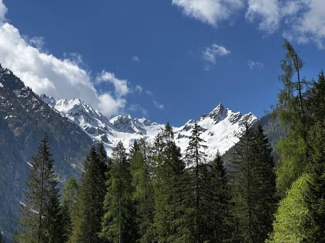 Img 0237