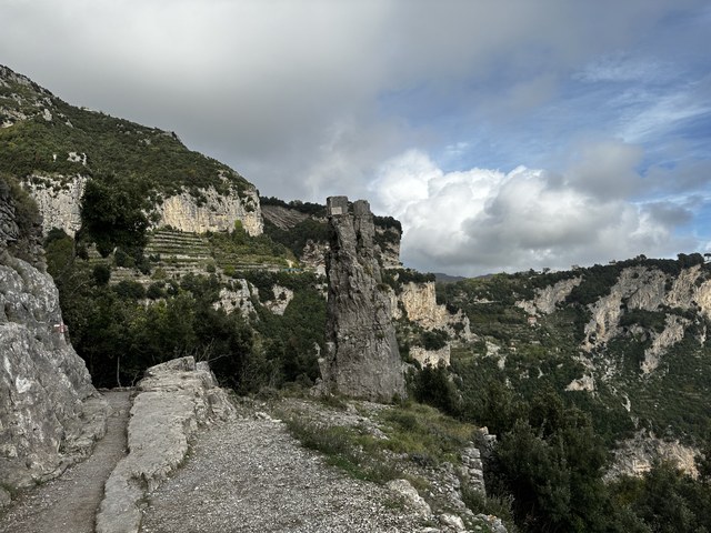 Img 1849