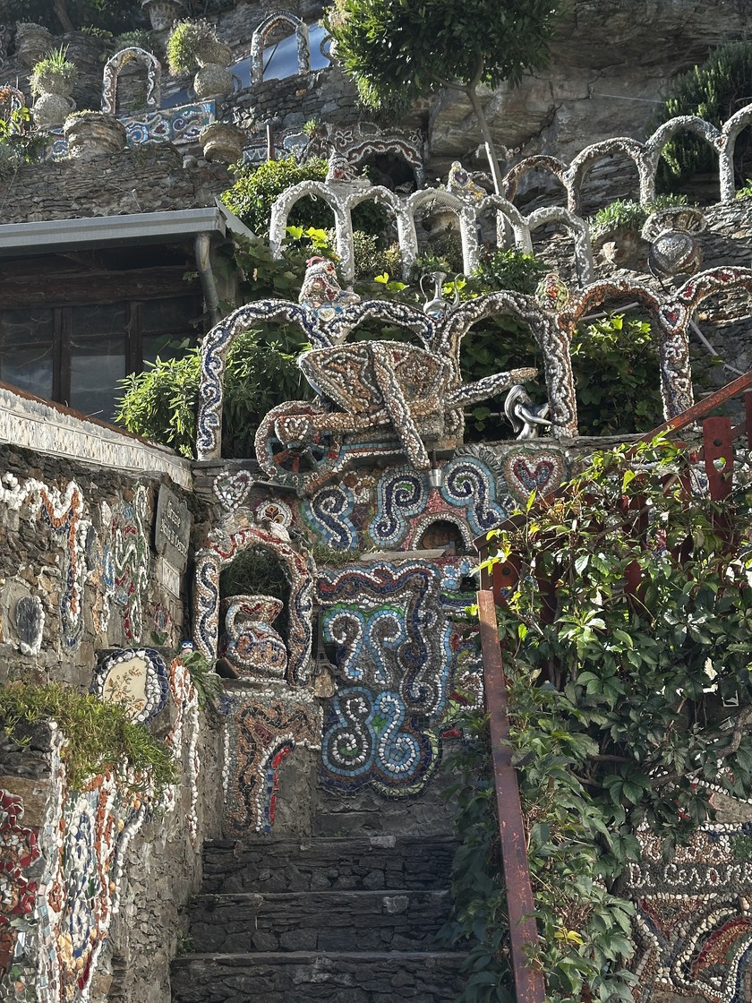 Img 1649