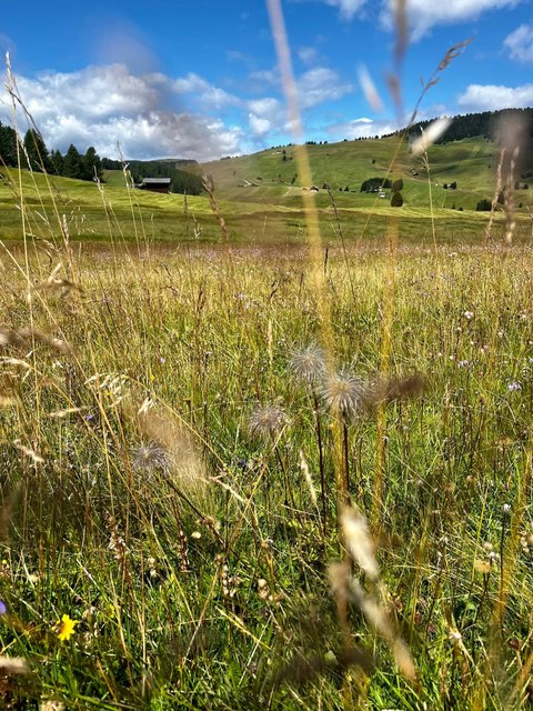Photo 2023 08 07 11 20 11