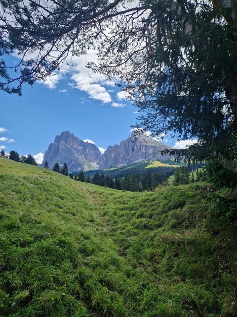 Photo 2023 08 07 11 21 41