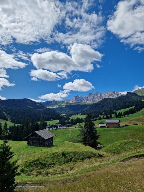 Photo 2023 08 07 11 21 35