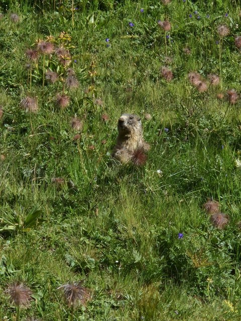 Photo 2023 08 07 11 21 46