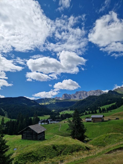 Photo 2023 08 07 11 21 33