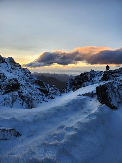 Photo 2023 07 31 10 37 58