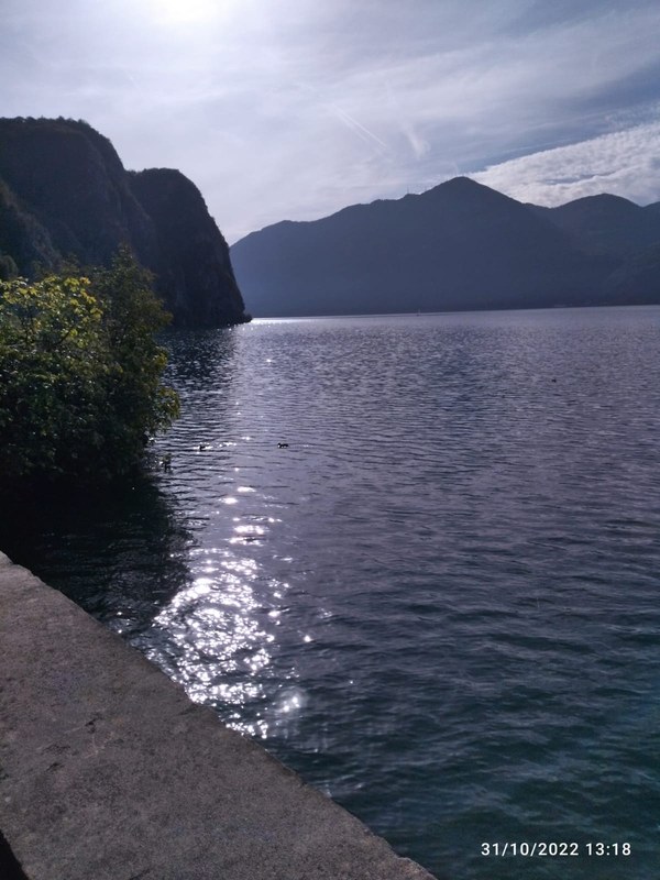 Img 3673