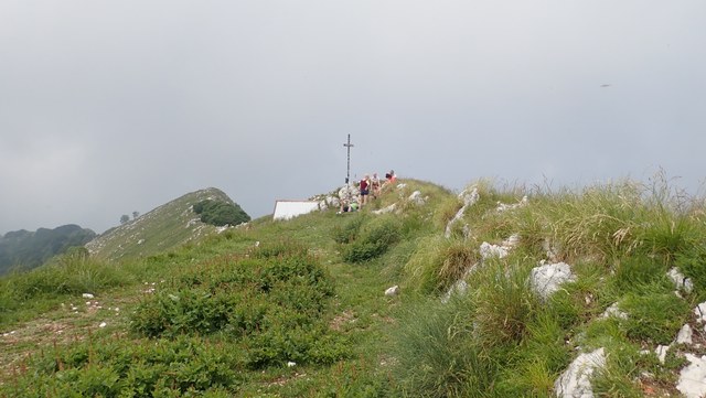 P1010010