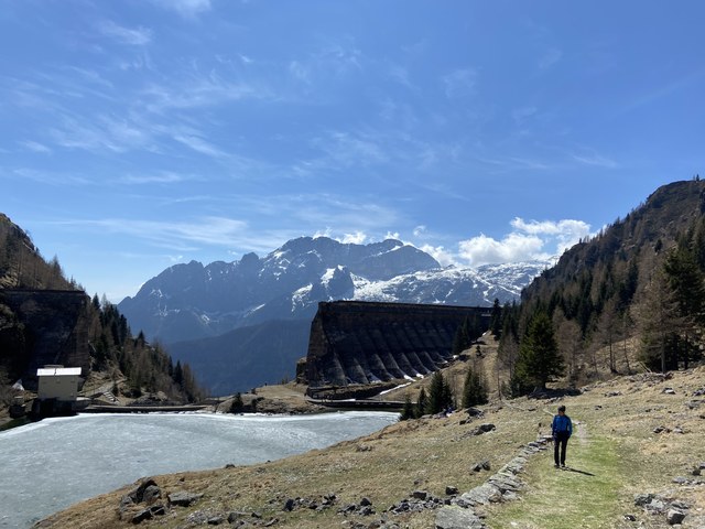 Img 3388