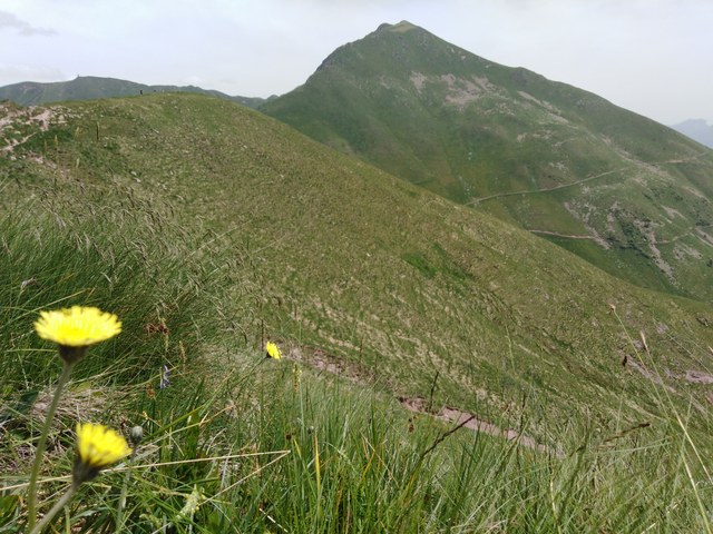 Img 20210620 130342