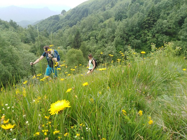 Img 20210620 101955