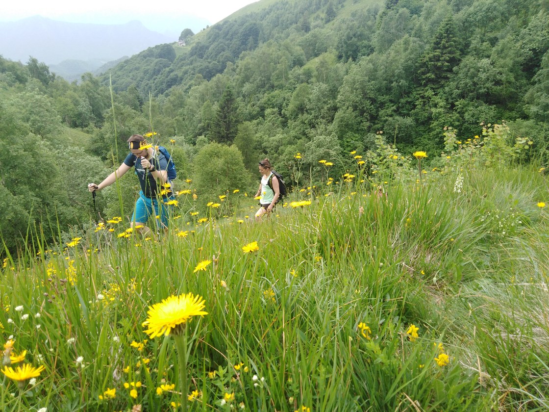 Img 20210620 101955