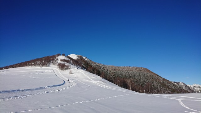 Dsc 0064