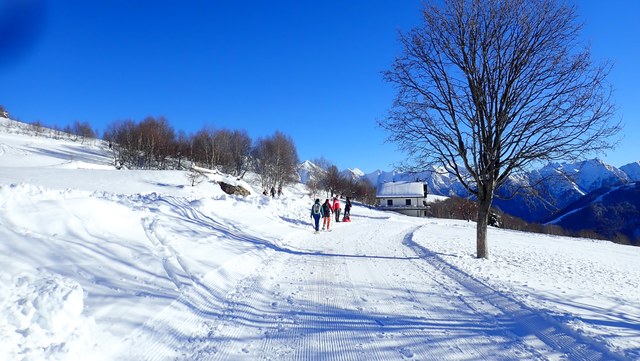 Pc130001