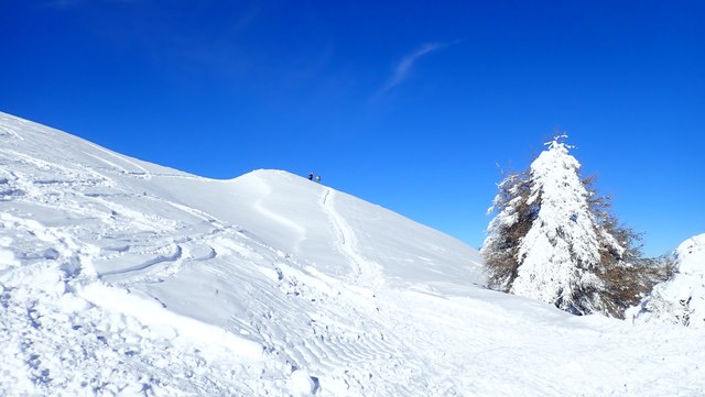 Pc130017