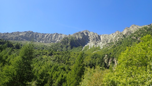 P8190004