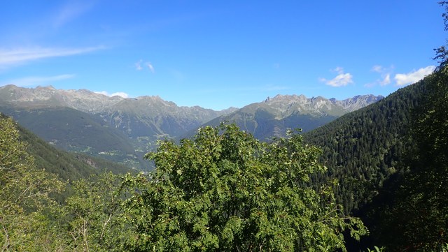 P8190003