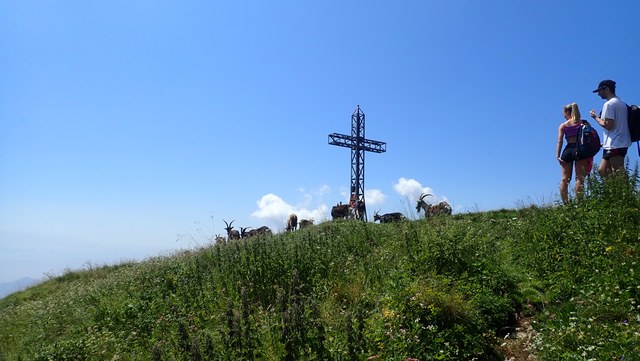 P8010009