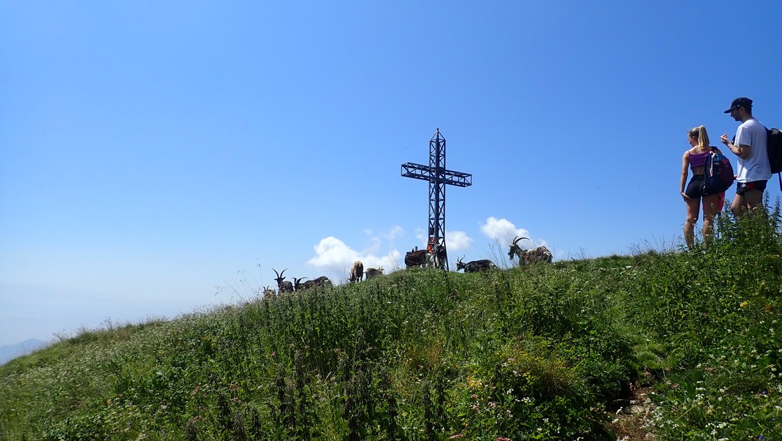 P8010009