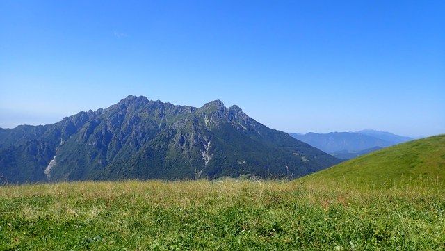 P8010008