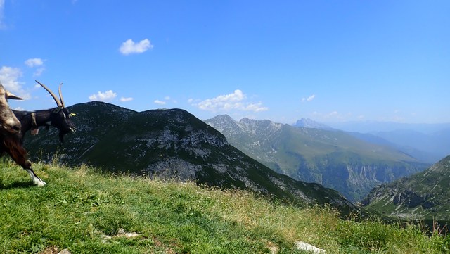 P8010018