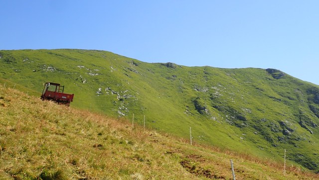 P8010005