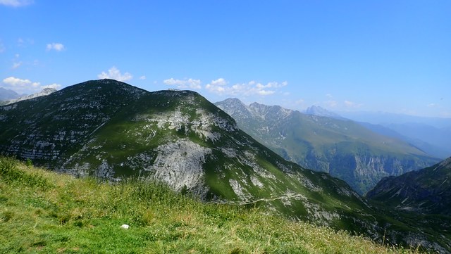 P8010023