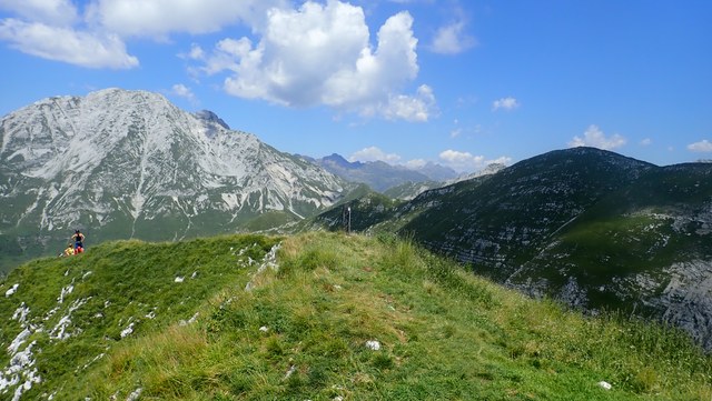 P8010022