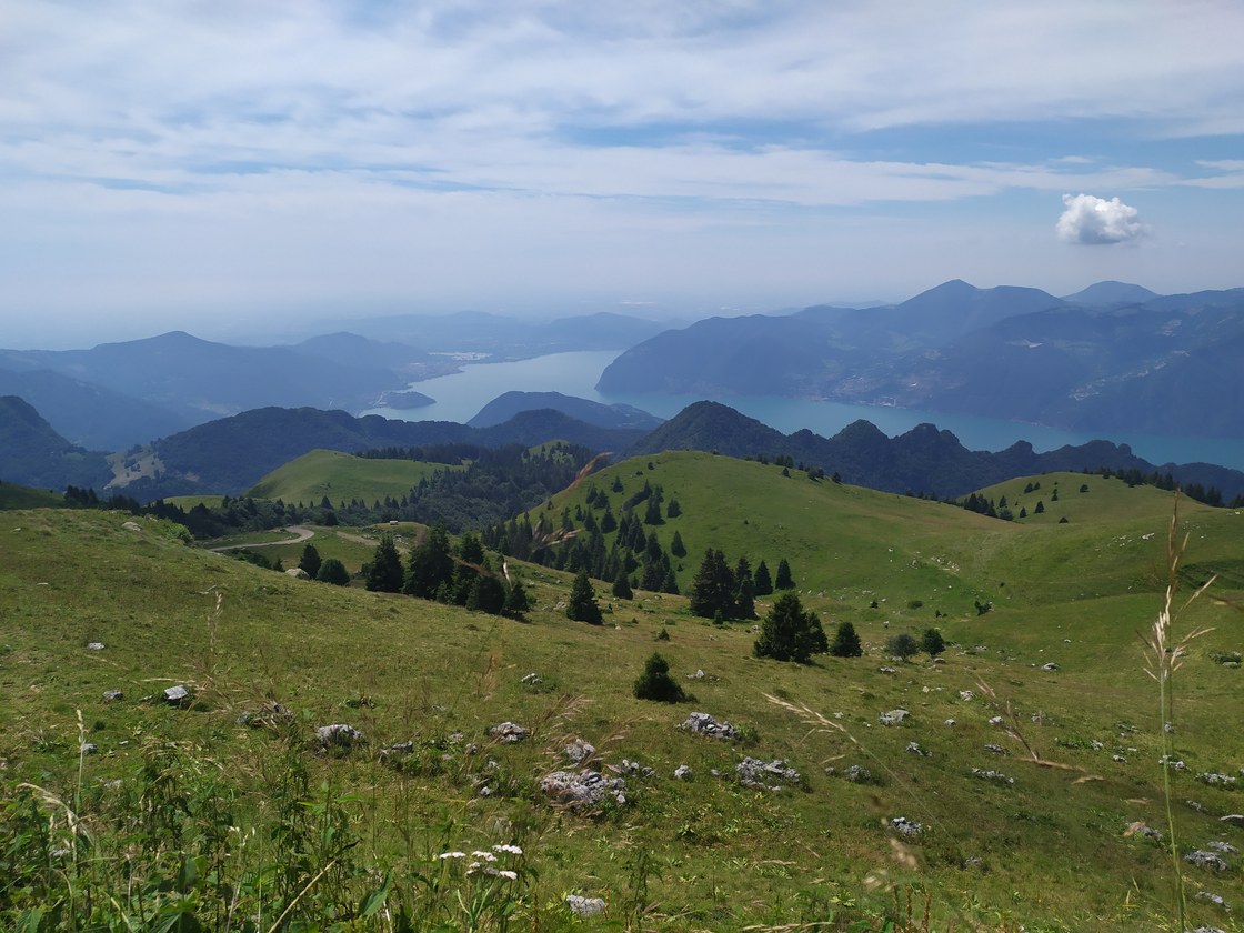 Img 20200726 134922