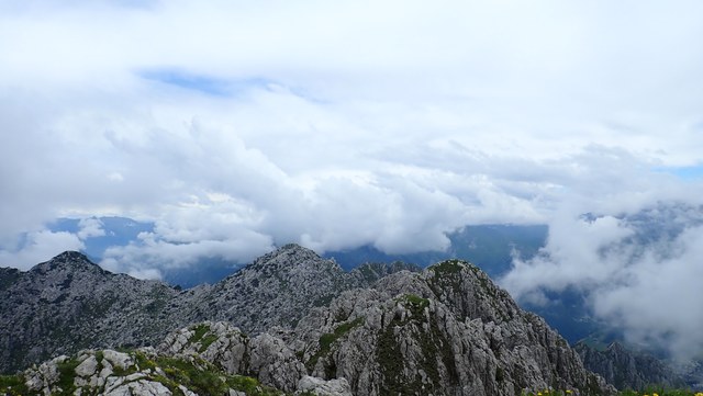 P6140009