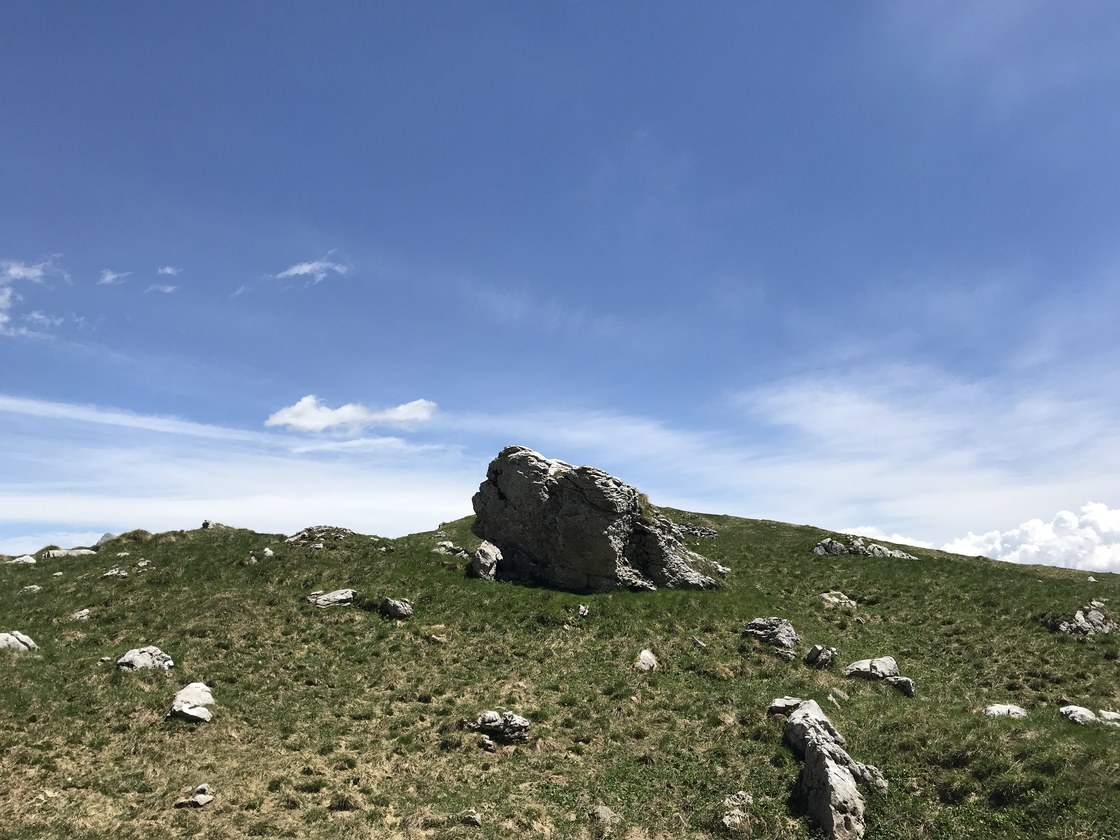 Img 2100