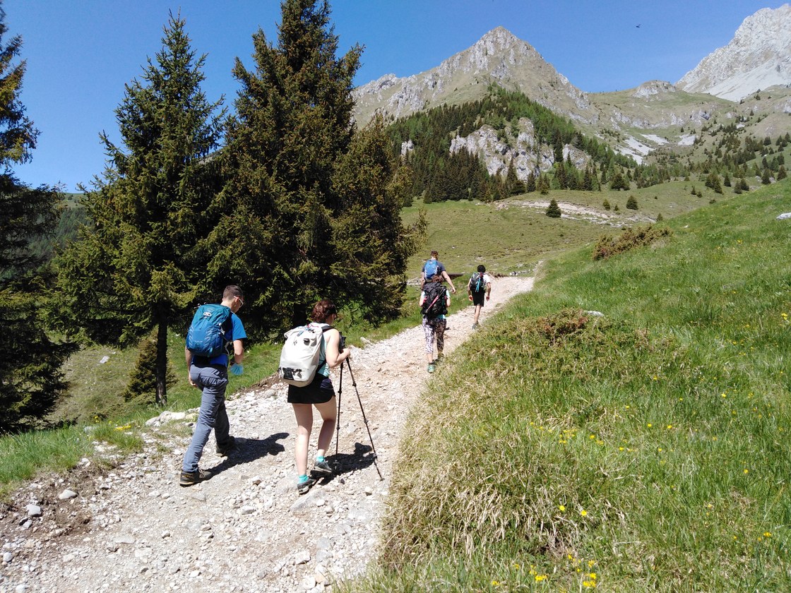 Img 20200524 114850