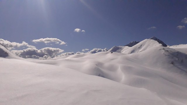 Cristina 9