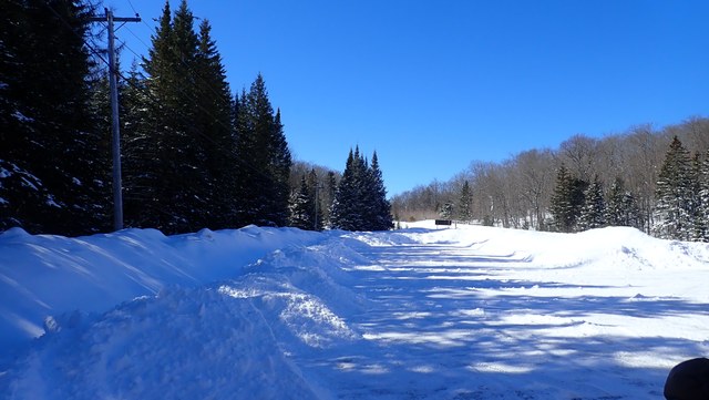 P3010001