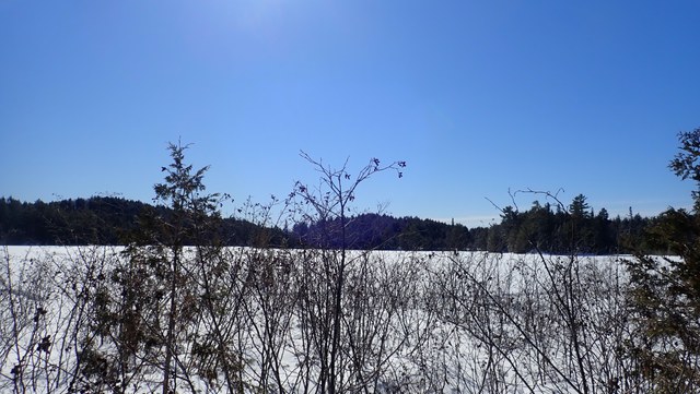 P3010020