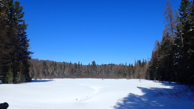 P3010012