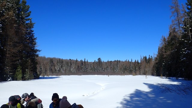 P3010011