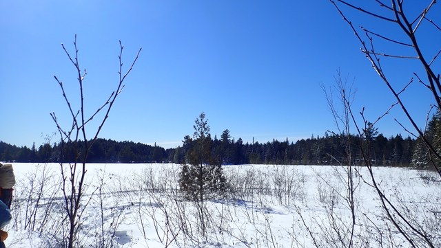 P3010021