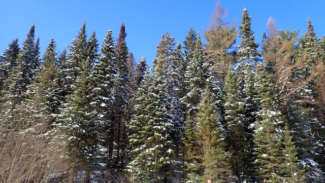 P3010013