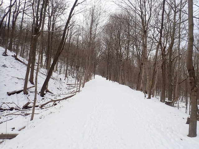 P2080015