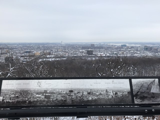 Img 1732