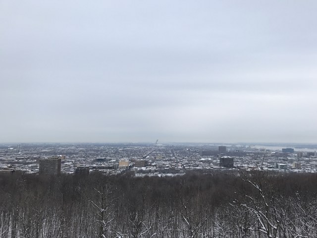 Img 1730