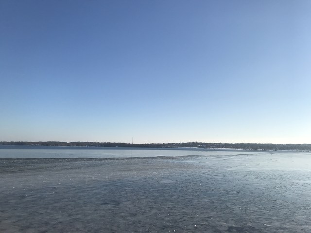 Img 1686
