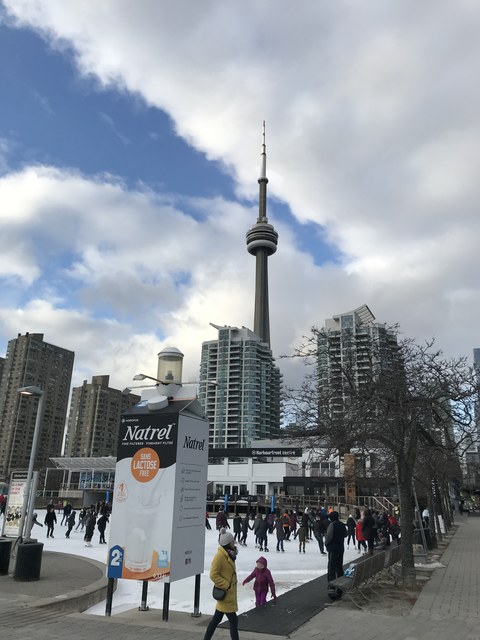 Img 1659